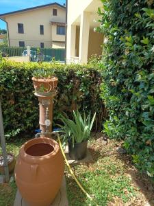 Affitti Brevi Toscana - Ospitalità ad Alberese