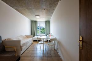 Brand New studio apartment #15 near center with FREE street parking