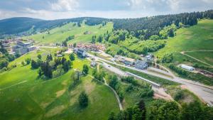 Pod Orlicą
