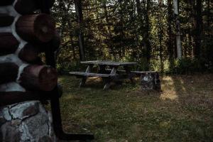 Morissette Base Camp - Lakeside Cozy Retreat for families and hikers