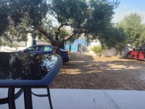 Camper with private toilet and kitchen 3