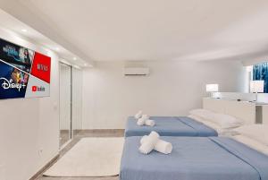 Loft in the Heart of Pisa