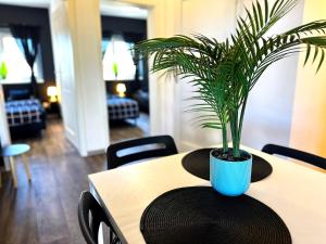 Domki apartamentowe nad morzem - Szyk Mielno