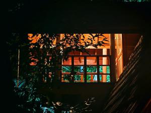Paddy field Whispering wind Cabin