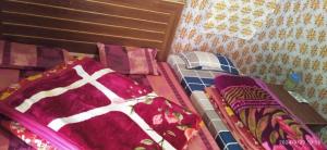 Chaukhamba Camp Stay