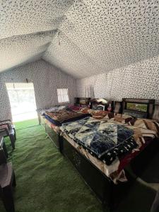 Chaukhamba Camp Stay