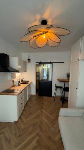 Le studio avignonnais