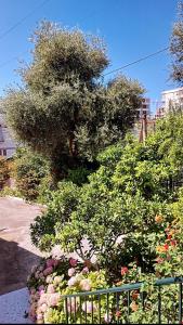 Floralis Apartments
