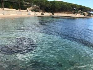 Ampio e pregevole bilocale con giardino privato a 200 mt dalla spiaggia
