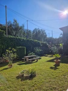 Panoramic Lake View & Garden Apartment