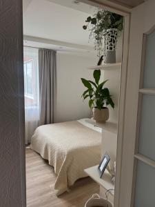 Apartment Ventspils iela 22