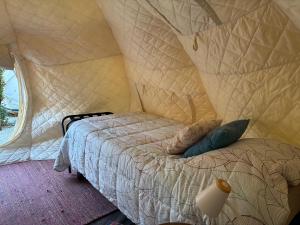 Glamping Ramas De Elqui