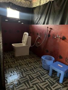 Chaukhamba Camp Stay
