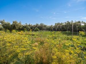 Eco Farm Tayssir Marrakech