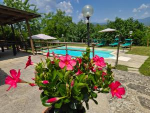 Borgo Vista Serena - Appartement Sole