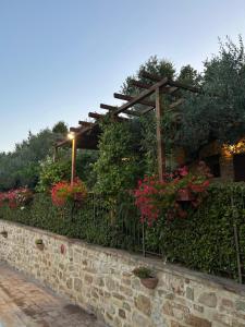 Le Case Gialle Resort