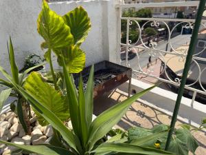 Piraeus Sea Loft