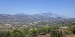 One Mema 5 Minutes from Argostoli & Costa Costa