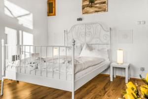 Elegant Apartments & Rooms Near Danube With Garden Access