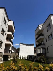 Cozy Central Home & Free Private Parking