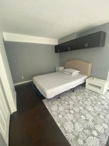 vancouver downtown panhouse luxury suite with balcony close to microsoft and amzon
