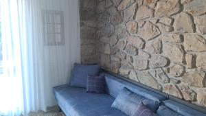 Stellar Suite