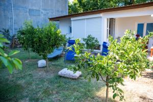 Bratica House