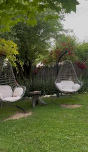 Eco-friendly Guesthouse Tea Gezruli 25 km from Chiatura