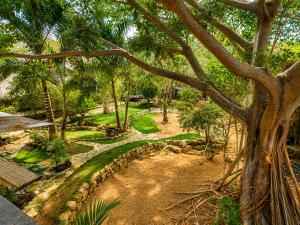 Casa KUUL, elegant fusion of house and garden.