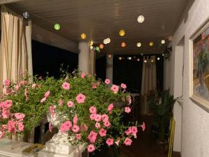 Guest House Wiejska Sielanka