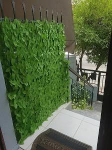 M & G Studio