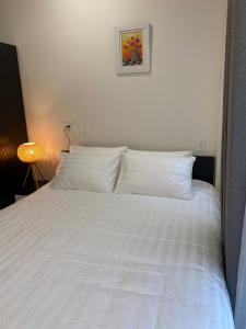 Cozy Studio Apartment in Prime District One, Ho Chi Minh City