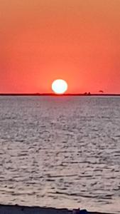Tomis Sunrise Studio