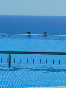 July Morning Seaside Resort Apt A06