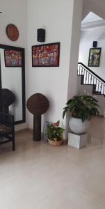 Canvas Haven Galle