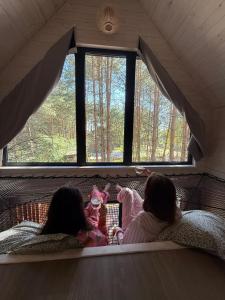 LABA PARK CHAŃCZA DOMEK nad zalewem, nowoczesny domek w lesie z opcją balii jacuzzi, ANTRESOLA