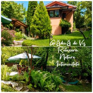 La Cascade - Casa de vacanta