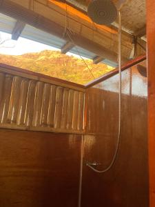 Jungle Boat Haven