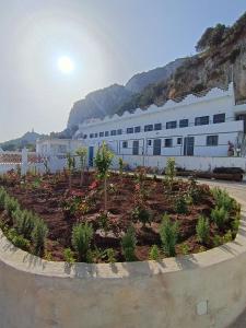 Espace socio culturel Dr Masmudi