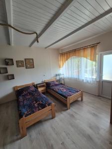 Pod lasem Majdan Sopocki Drugi