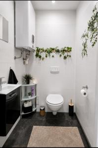 Deea Apartment