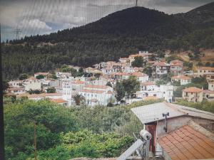 Πέτρινη Φωλιά