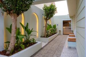 Dumer Butik Hotel