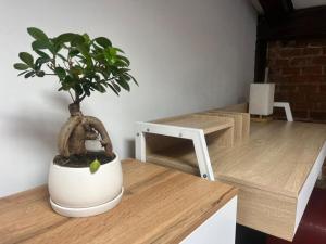 Rembrandt Hostel