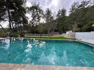 Villa Musa