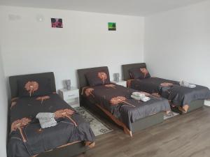 Apartmani SARA Vranje