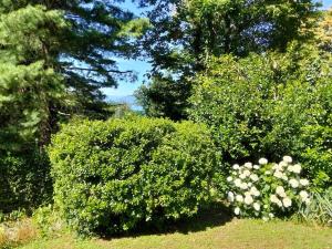 Appartamento LA CAMELIA - scorci di Lago