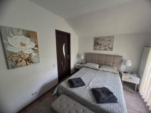 Meteor Residence Suites