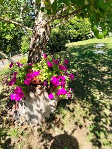 Appartamento LA CAMELIA - scorci di Lago