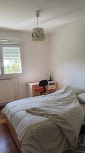 Luminous room in a shared appt 2